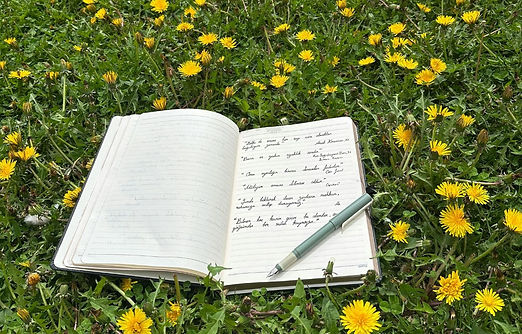 programme printemps.jpg