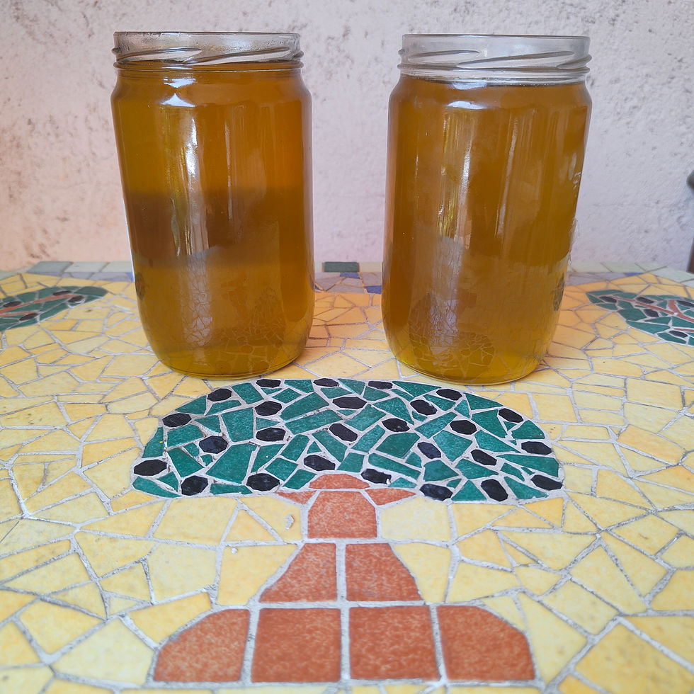 Filtration du macérat huileux d'hélichryse