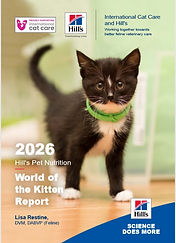 kitten report.jpg