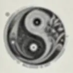 A black and white yin-yang vector art with intricate pattenrs
