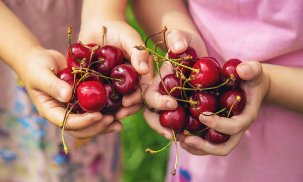 MEMO: Cherry Picking Field Trips 🍒