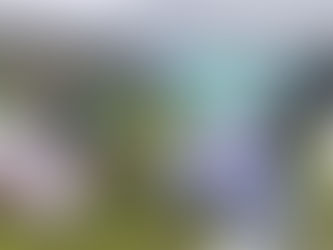 Keahou Farmer's Market on Wednesdays