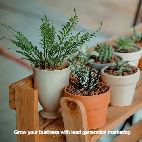 Potted plants
