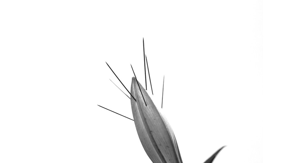 Web _ Invisible Lacerations _ 1.jpg
