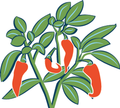 Chilis_color_edited.png