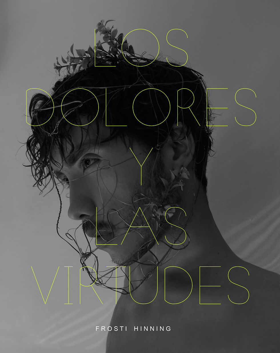 poemario "Los dolores y las virtudes"(2020)