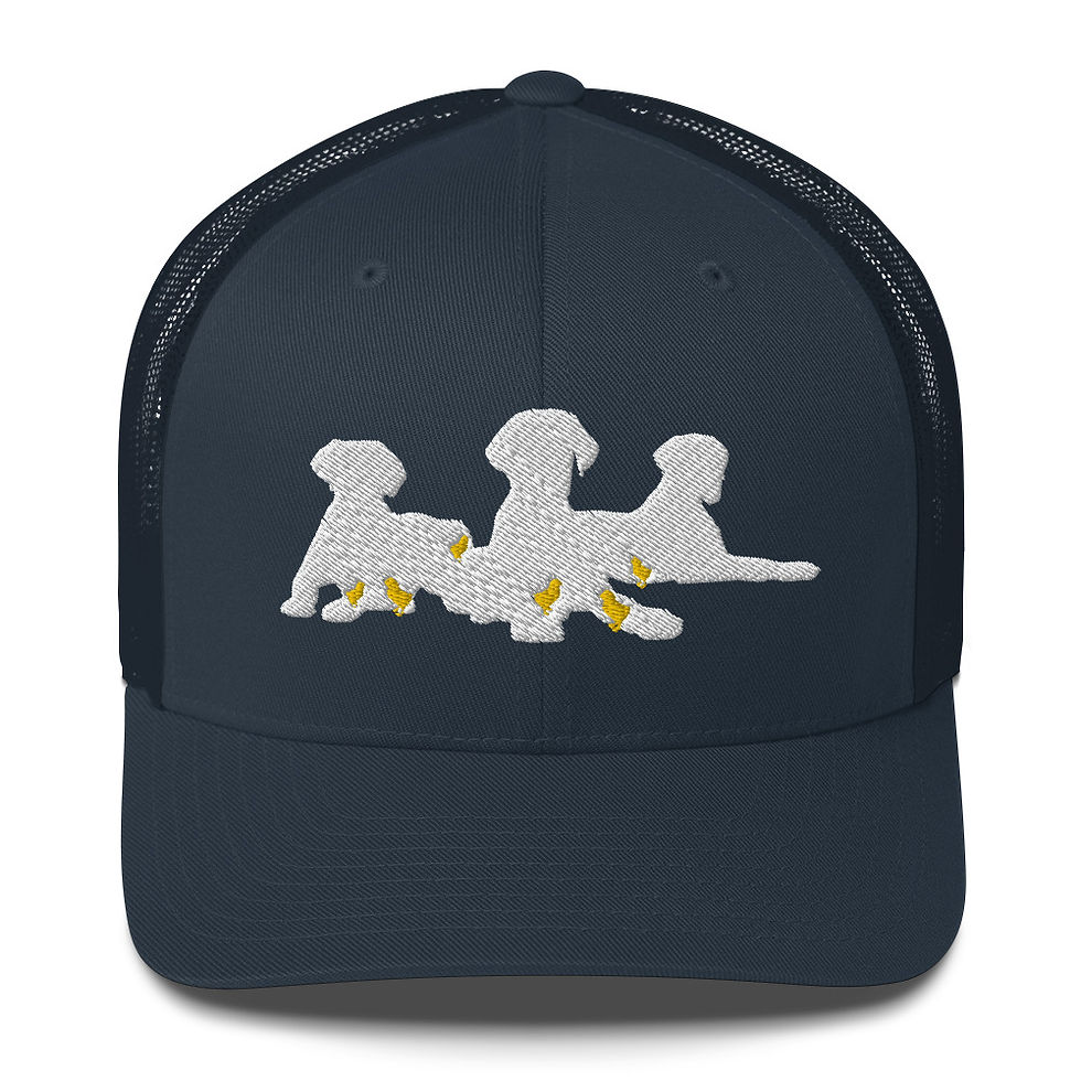 Thumbnail: chicks+bitches - cbLc - Trucker Cap