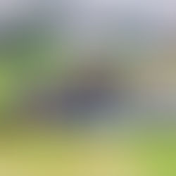 Team Effort Scholarship: A Growing Legacy of Impact