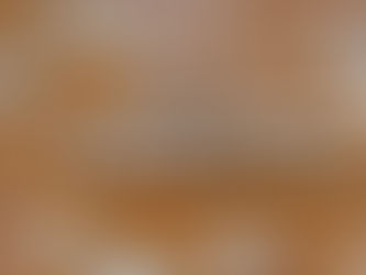 There is no birthright citizenship for illegal aliens