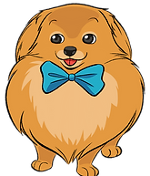 pomeranian dog groomer