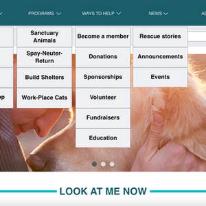SCARS - Web Redesign 