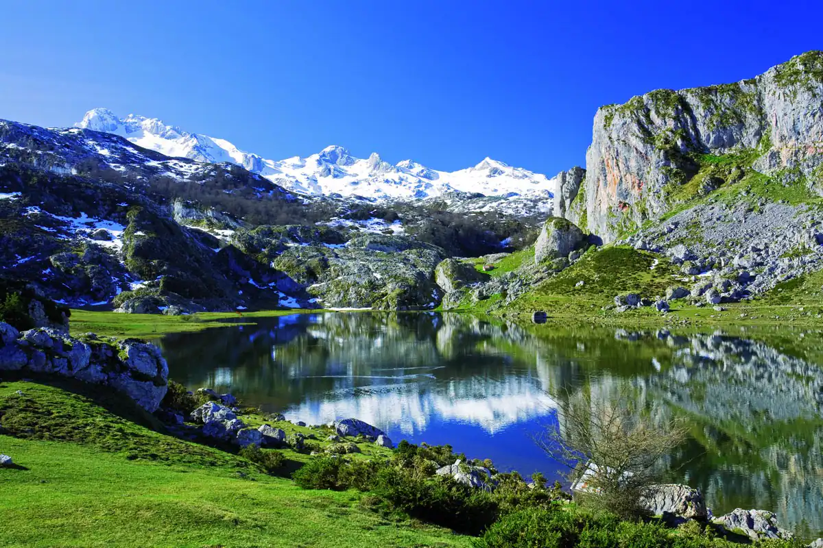 22f8a785_original.webp