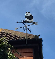 pandas windvane