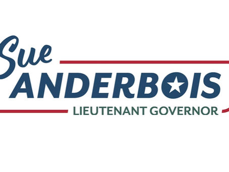 Local Leaders Endorse Sue AnderBois for RI Lieutenant Governor