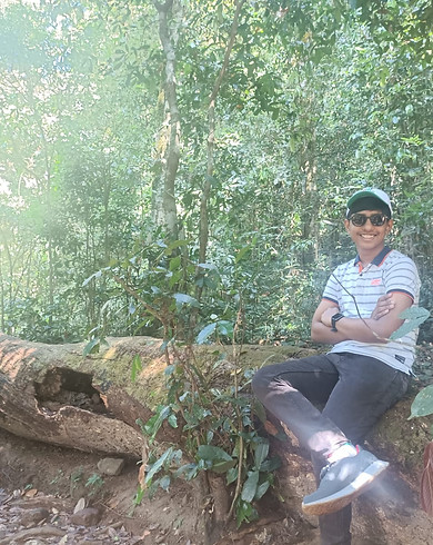 ShreyasForest.jpeg