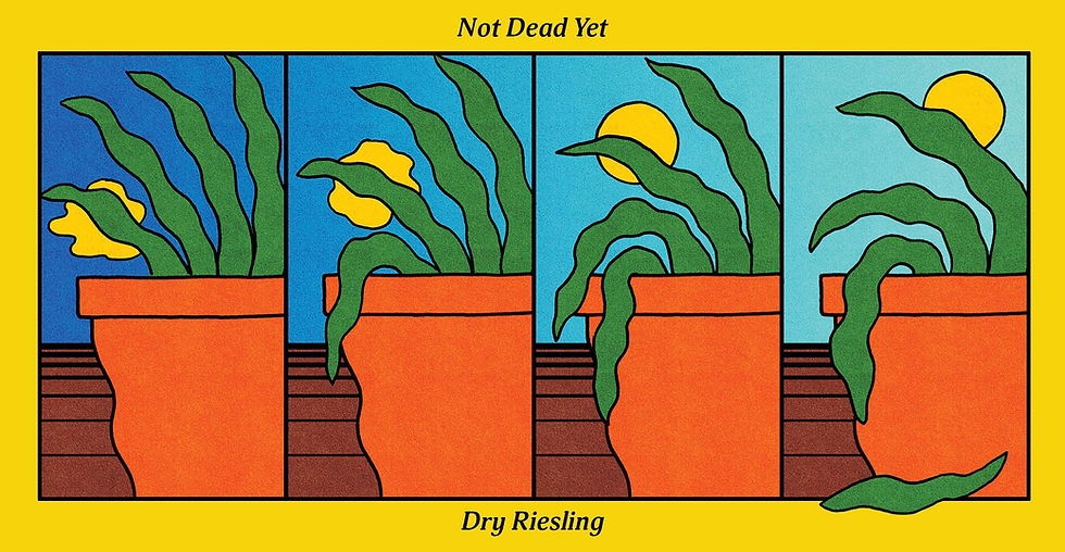 Thumbnail: Not Dead Yet - Dry Riesling