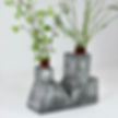 Dbl vase .jpg