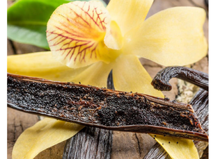Vanilla: Why We Use Nielsen-Massey Bourbon Vanilla Bean Paste