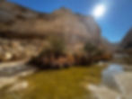 Ein Yorkeam, Negev