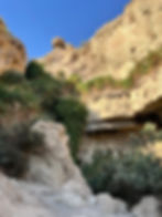 Ein Gedi Oasis
