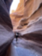 Red Canyon, Eilat Mountains
