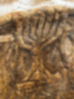 Menorah, Herodian Quarter, Jerusalem