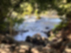 Tel Dan Nature Reserve
