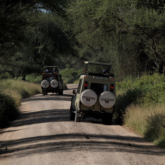 Two Jeeps in Tarangire.jpg