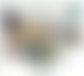 Modern Vintage Front Porch and Garden Plan - One Room Challenge ~ Week 1