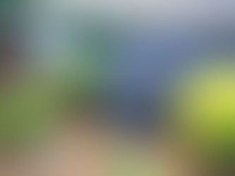 In the Final Stretch - ORC Week 7 Front Porch & Garden