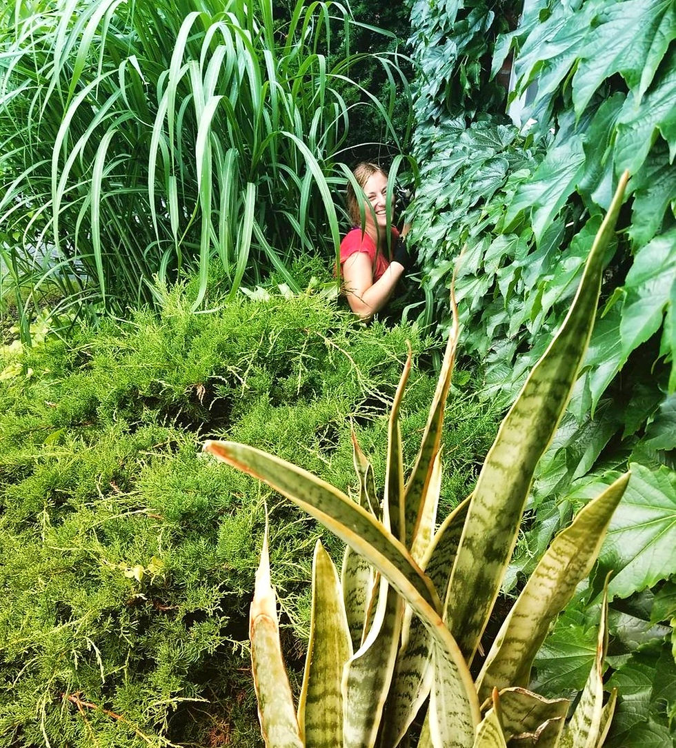 jungalow front garden women in garden plant lover