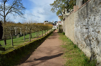 DSC_0186.JPG