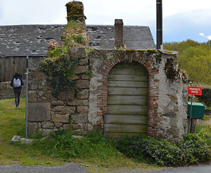 DSC_0249.JPG