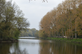 DSC_0384.JPG