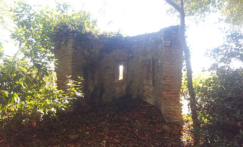 20180915_154834.jpg