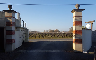 20190225_170437.jpg