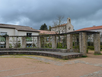 DSC_0231.JPG