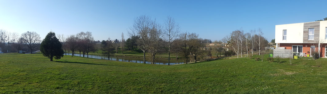 20190225_161855.jpg