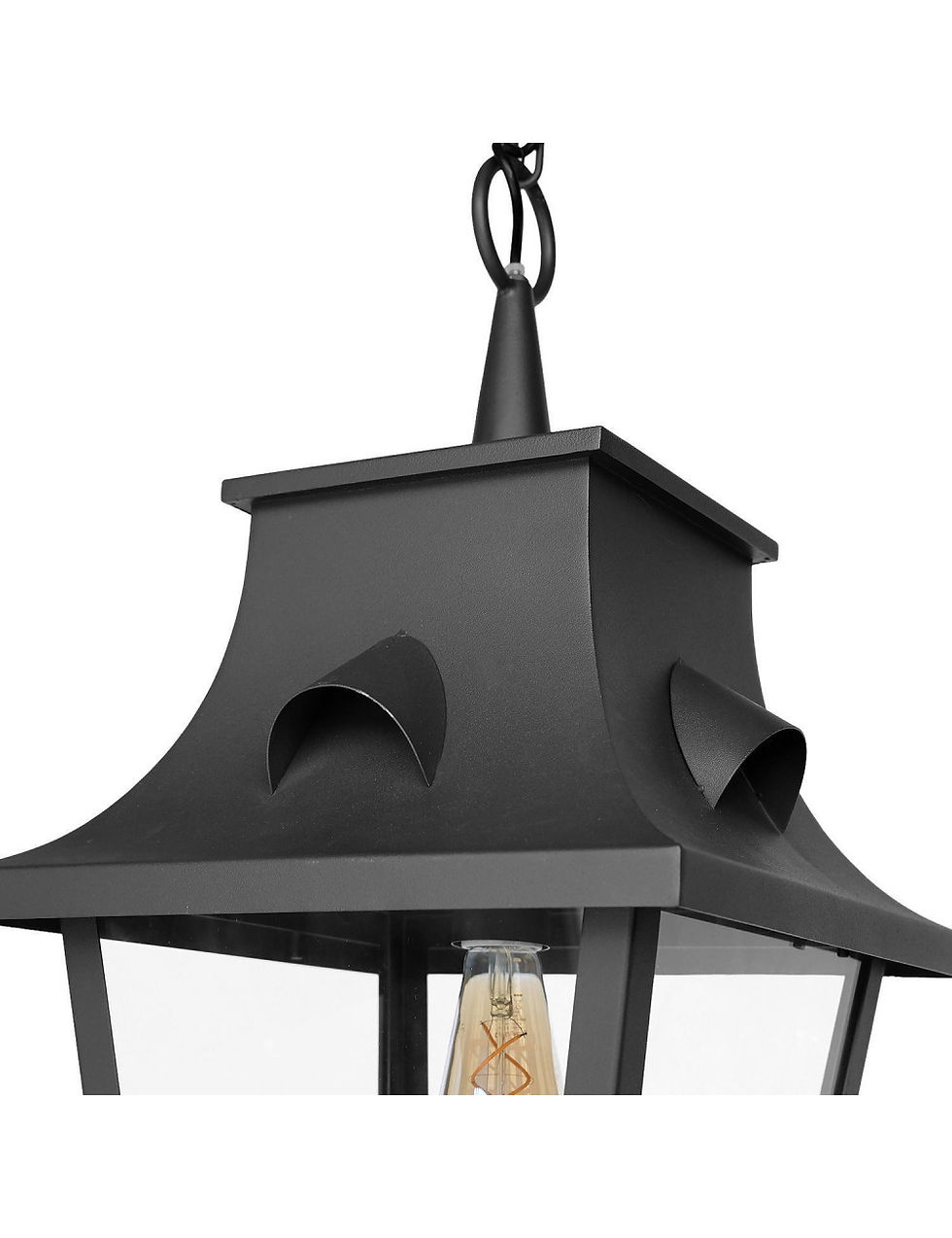 Thumbnail: French Lantern Saumur close up top view