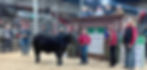 4-H2024_edited_edited.jpg