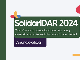 Anuncio oficial: organizaciones ganadoras de la Convocatoria SolidariDAR 2024