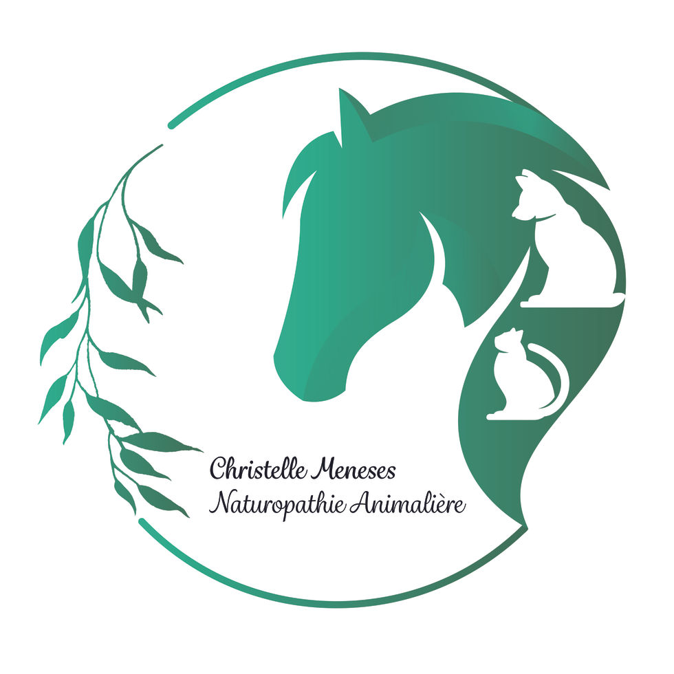 V3_LOGO-CHRISTELLE-01