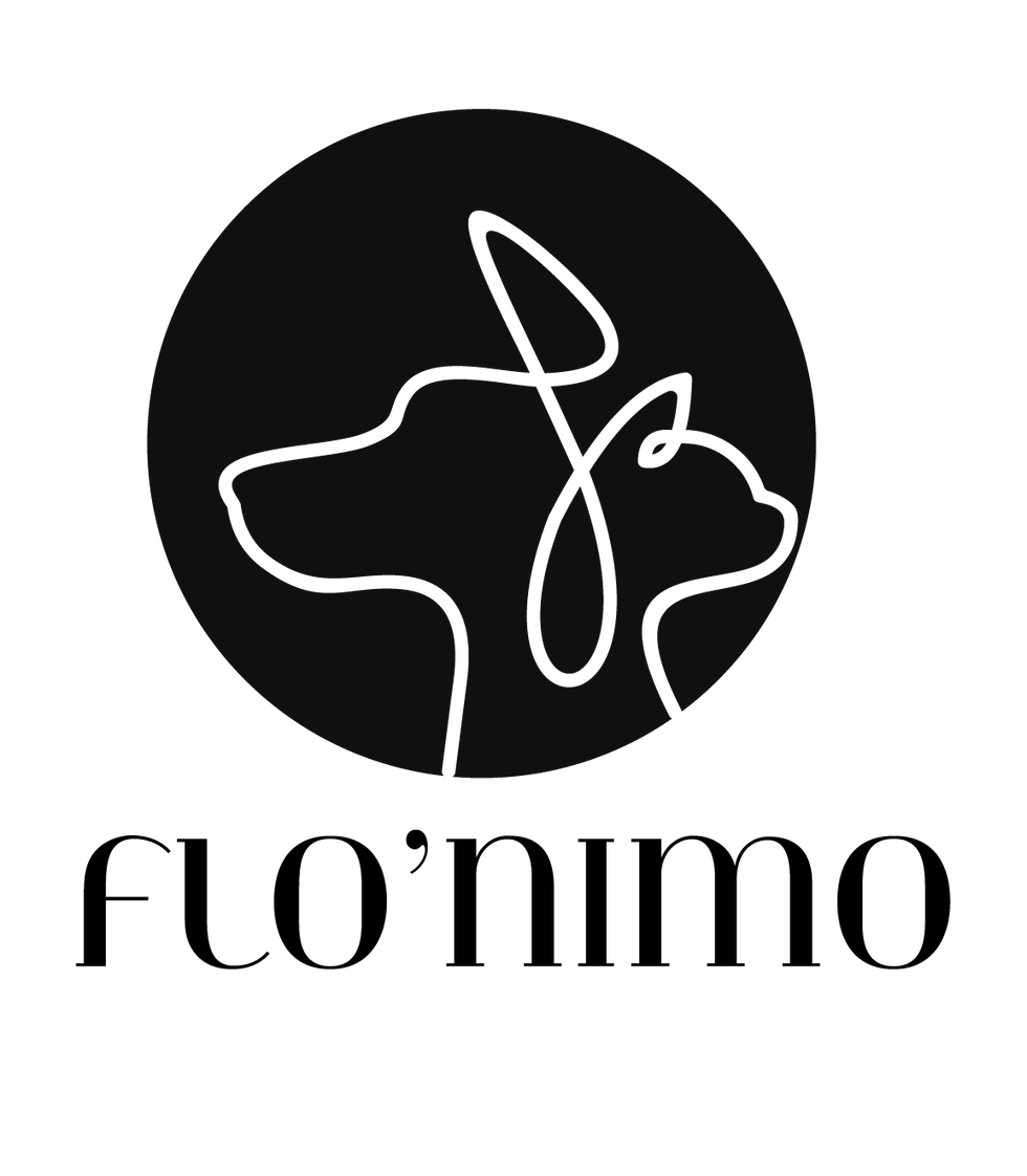 LOGO_FLONIMO_Plan de travail 1