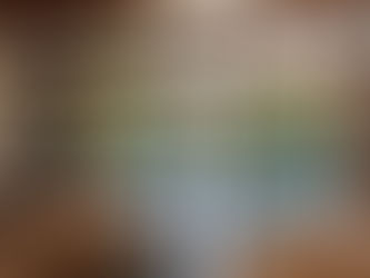 What is Pella ProLine? A Guide for Commercial Windows – Read Now!