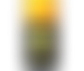 Where Can I Buy Alum-A-Lub? Window Repair Systems Has You Covered! Read Now