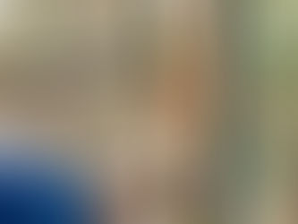 How to Measure Screen Size for Commercial Window Screens