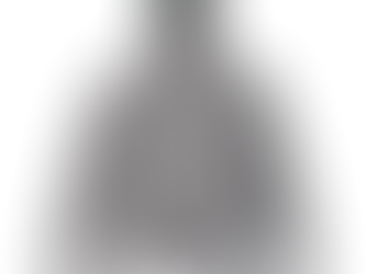 10.0oz. 純棉連帽T恤(大絨布)