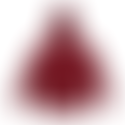 10.0oz. T/C 連帽拉鍊外套(內刷毛)