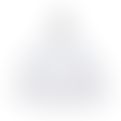 10.0oz. T/C 寬版落肩連帽T恤(內刷毛)