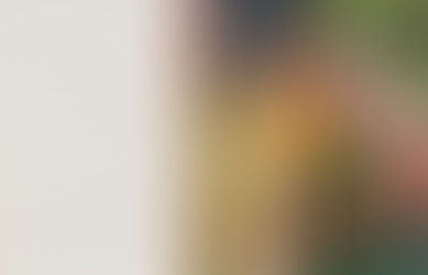 Diannie; Sun and Strike